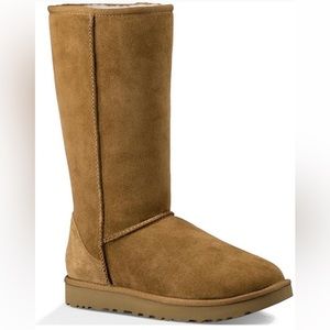 Classic Tall Uggs